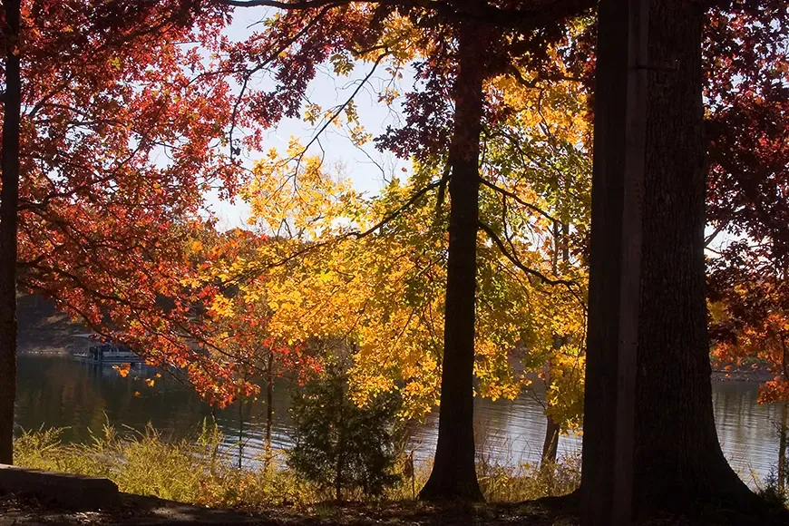 table rock lake fall foliage.